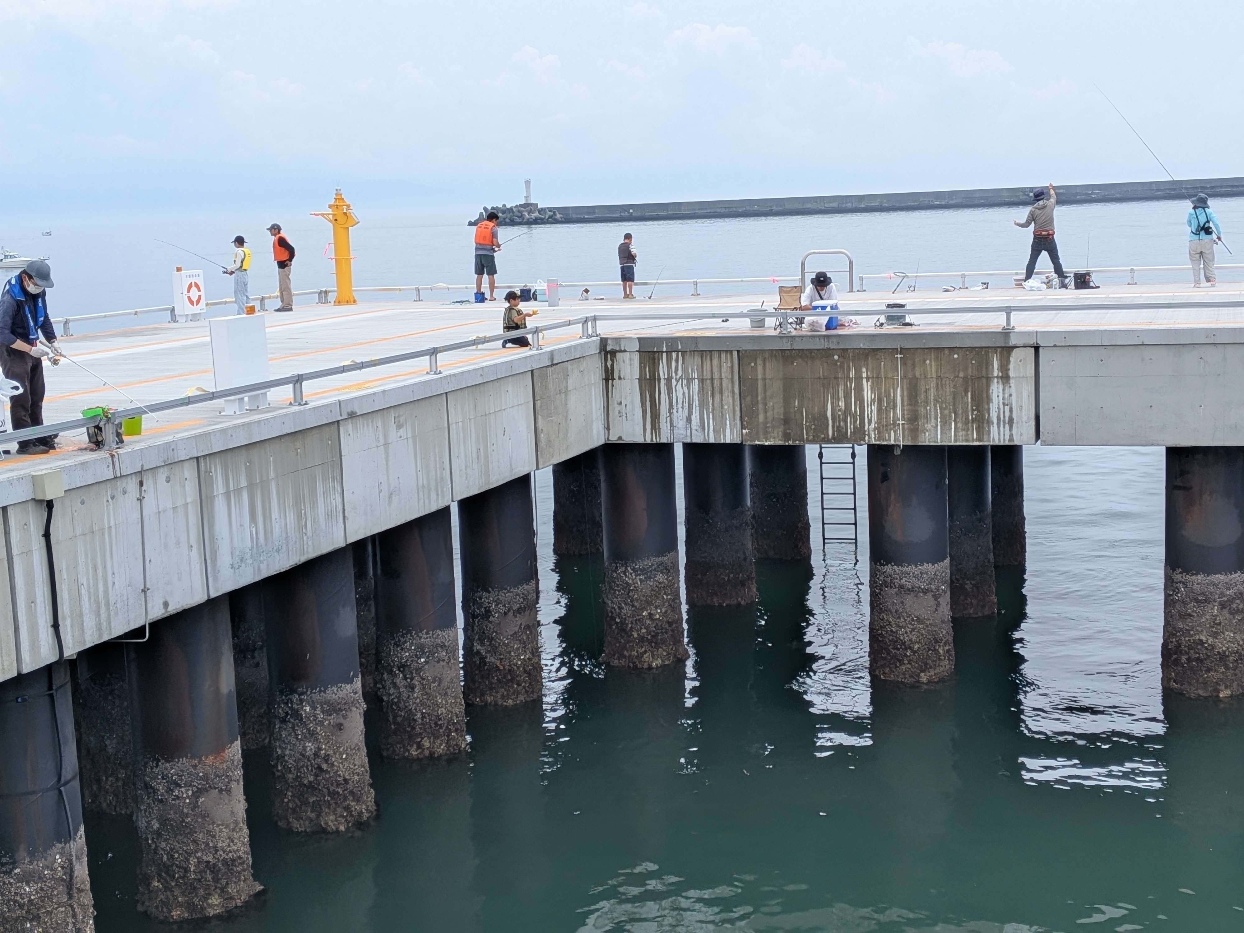 清水港海づり公園 橋桁は高い