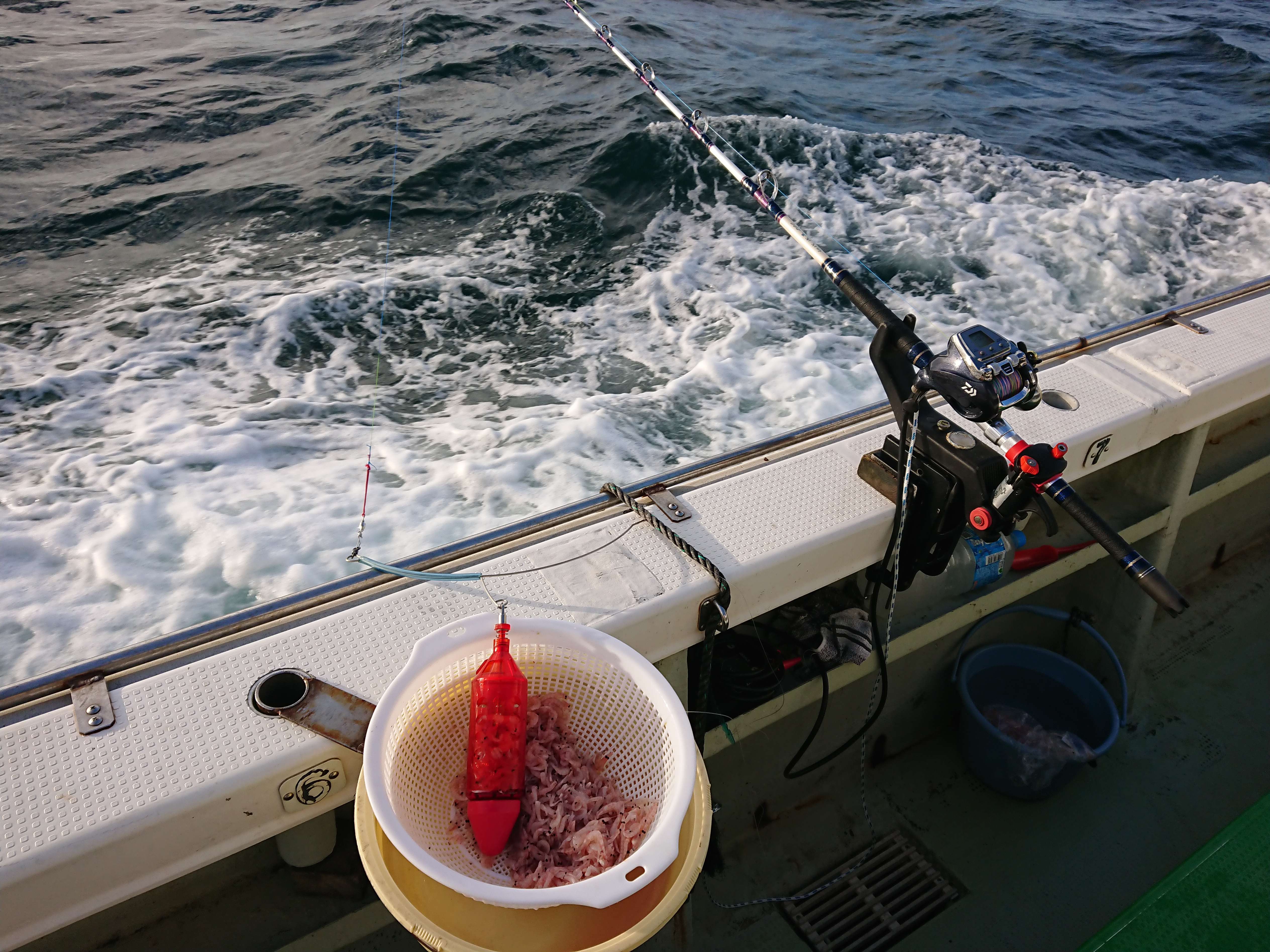 26年8月13日　相模湾コマセカツオ　正しいコマセの釣り座